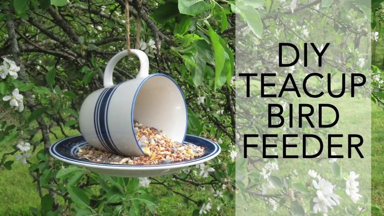 Easy DIY Teacup Bird Feeder