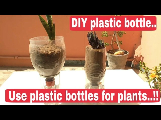 How to grow plant in plastic bottles, recycle plastic bottles, DIY plastic bottles