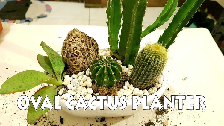 Oval Planter Cactus Arrangement! l DIY Cactus Garden