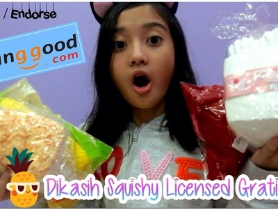 DIKASIH SQUISHY LICENSED GRATIS?!?! #4 Review Package from banggood.com | Friendship DIY