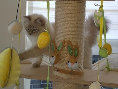 DIY Easter Cat Tree