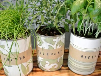 DIY Herbs Garden Is Always A Great Idea For Your Kitchen