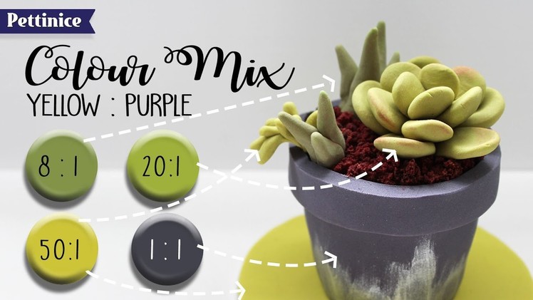 FULL TUTORIAL - Sharon Wee creates succulent mini cake