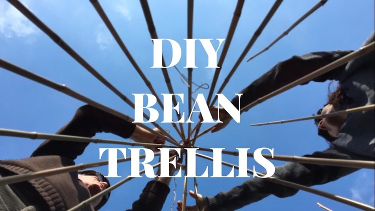 How to: create a bamboo cane wigwam. trellis for beans