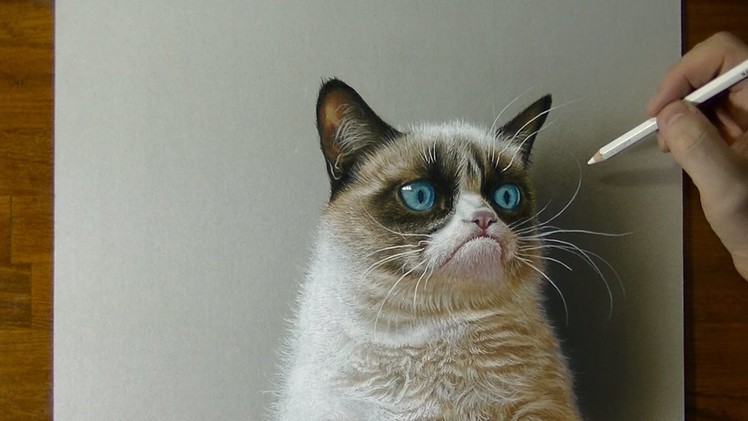 3D Drawing - Grumpy Cat Meme Portrait