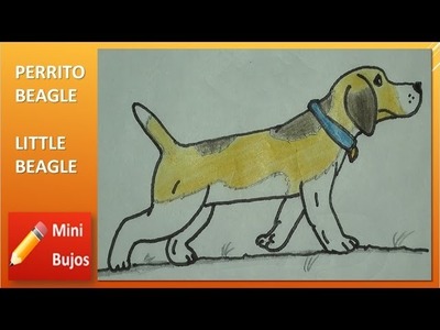 HOW TO DRAW A BEAGLE DOG?. COMO DIBUJAR UN PERRITO BEAGLE