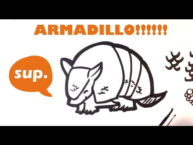 How to Draw an Armadillo (cute) - Easy Pictures to Draw
