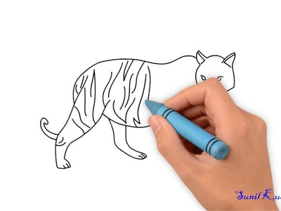 Learn How to Draw a Tiger Very Easy for Kids New