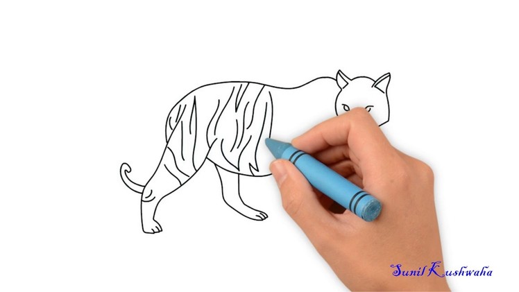Learn How to Draw a Tiger Very Easy for Kids New