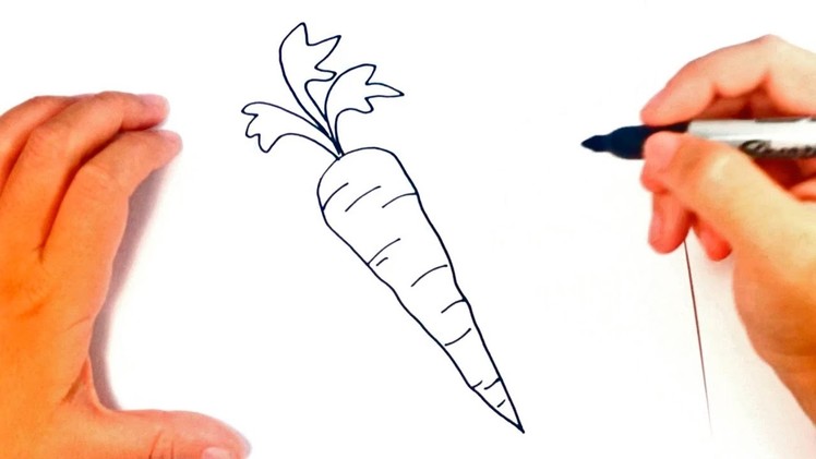 How to draw a Carrot | Carrot Easy Draw Tutorial