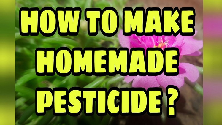 How to make Homemade Pesticide? | 24 April, 2017
