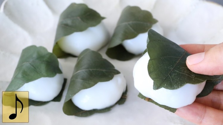 How to make Stretchy Squishy Kashiwa Mochi (rice cakes wrapped in oak leaf)