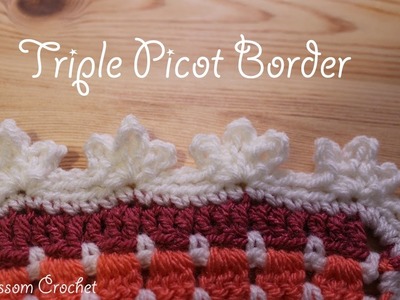 Super Easy Crochet Picot Border. Edging