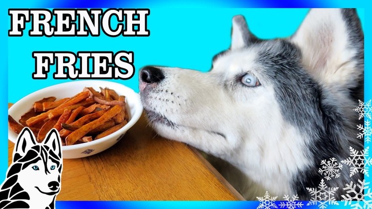 DIY FRENCH FRIES FOR DOGS Sweet Potato Style |  DIY Dog Treats | Snow Dogs Snacks 71