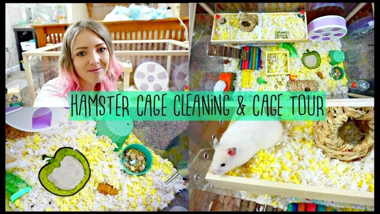 HAMSTER CAGE CLEANING & CAGE TOUR | Hamster DIY Platform FAIL ????????