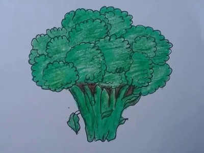 How to draw broccoli with basic shapes l easy drawing l broccoli  drawing  and colouring for kids.