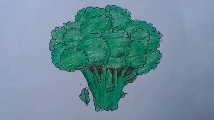 How to draw broccoli with basic shapes l easy drawing l broccoli  drawing  and colouring for kids.