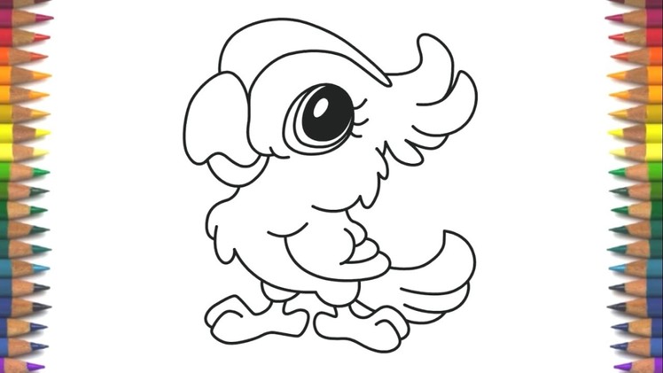 How to draw Cute Kawaii Parrot quick and easy