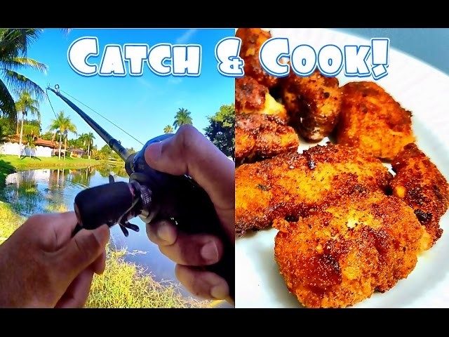 Snakehead Catch & Cook Part 2! DIY How to Cook Spicy Snakehead Nuggets!