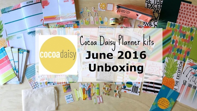 Unboxing: Cocoa Daisy Planner kits - June 2017