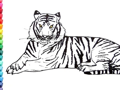 Drawing and Coloring a Tiger - How to Draw Wild Animals Color Pages for Children