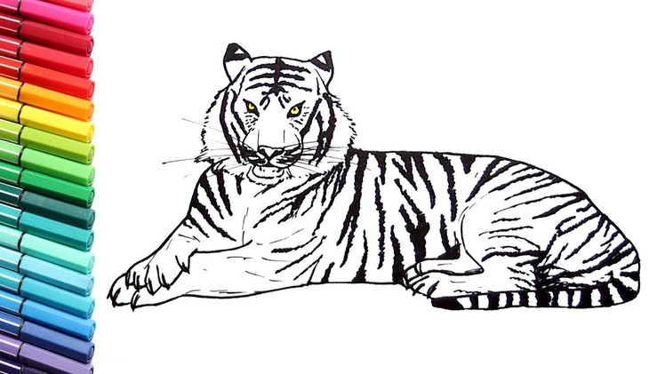 Drawing and Coloring a Tiger - How to Draw Wild Animals Color Pages for Children