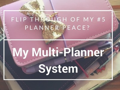 How I use Multiple Planners and a Flip through of my Creative B6
