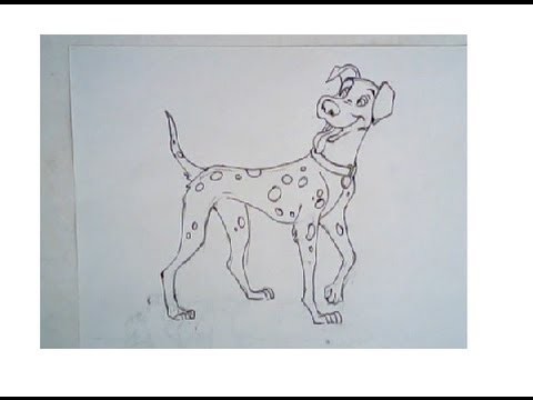 How to draw 101 dalmation (step-by-step drawing)