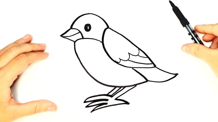 How to draw a Bird for kids | Bird Drawing Lesson Step by Step
