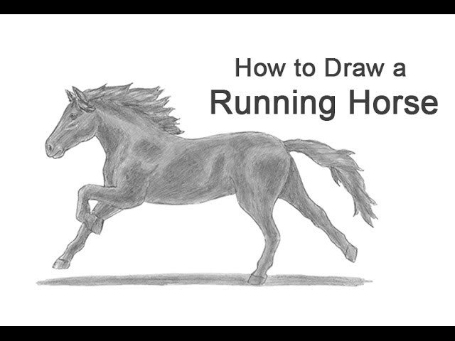 How to Draw a Horse Running