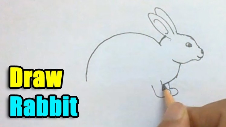 How to Draw a Rabbit