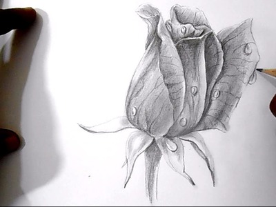 How to draw a rose step by step | How to draw | How to draw Flowers