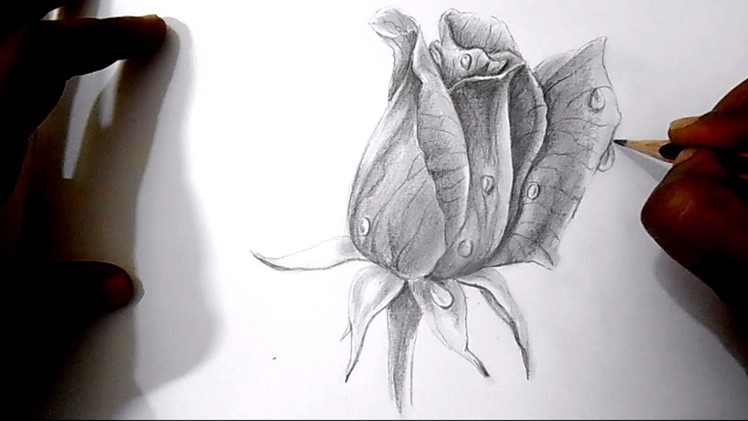 How to draw a rose step by step | How to draw | How to draw Flowers