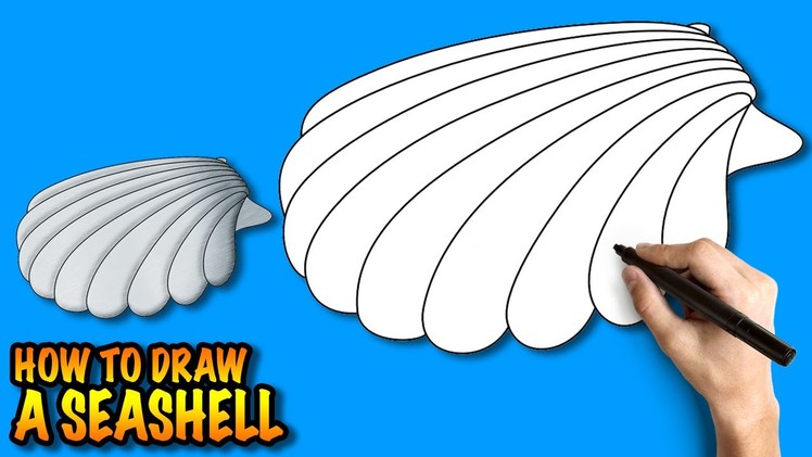 How to draw a Seashell - Easy step-by-step drawing tuturial