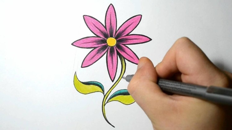 How to Draw a Simple Flower - Hot Pink Daisy