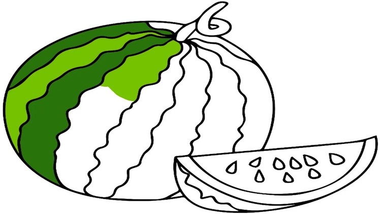 How to Draw Watermelon Coloring Pages Fruit And Coloring For Kids Baby