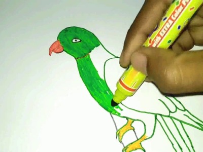 How To Drawing Parrot For Kids Easy And Simple