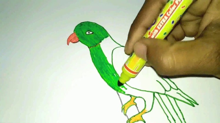 How To Drawing Parrot For Kids Easy And Simple