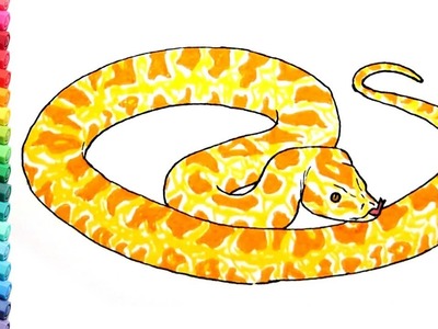 Snake Coloring Pages For Kids - Drawing and Learning Colors With Wild Animals Snake