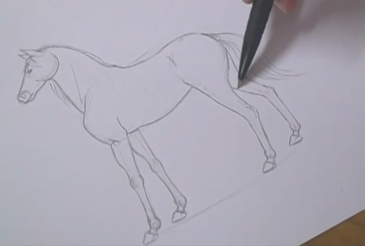 Tutorial - Como desenhar cavalos. How to draw horses