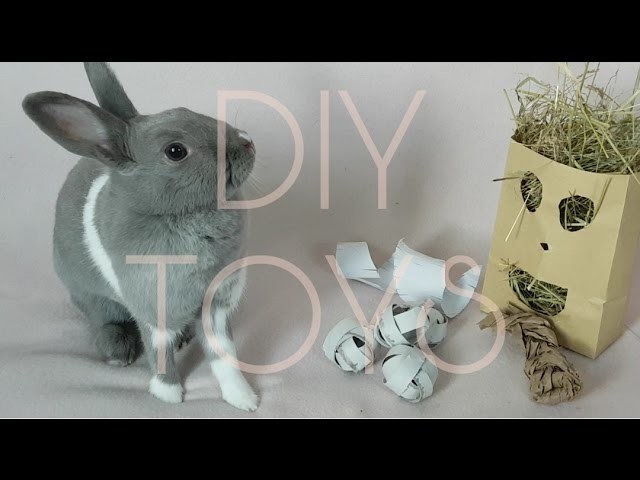 DIY RABBIT TOYS!! | Rabbit care