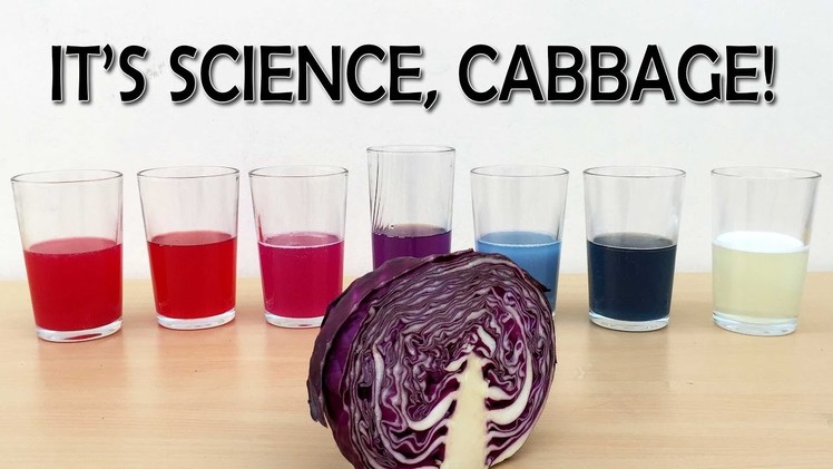 EXPERIMENT DIY PH indicator from red cabbage | What the Hack #22