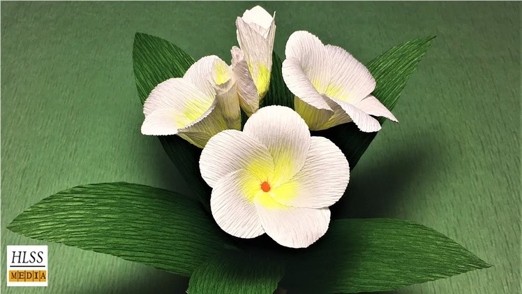 Hlss media| How to make pretty plumeria paper flower| plumeria crepe paper  flower making tutorials