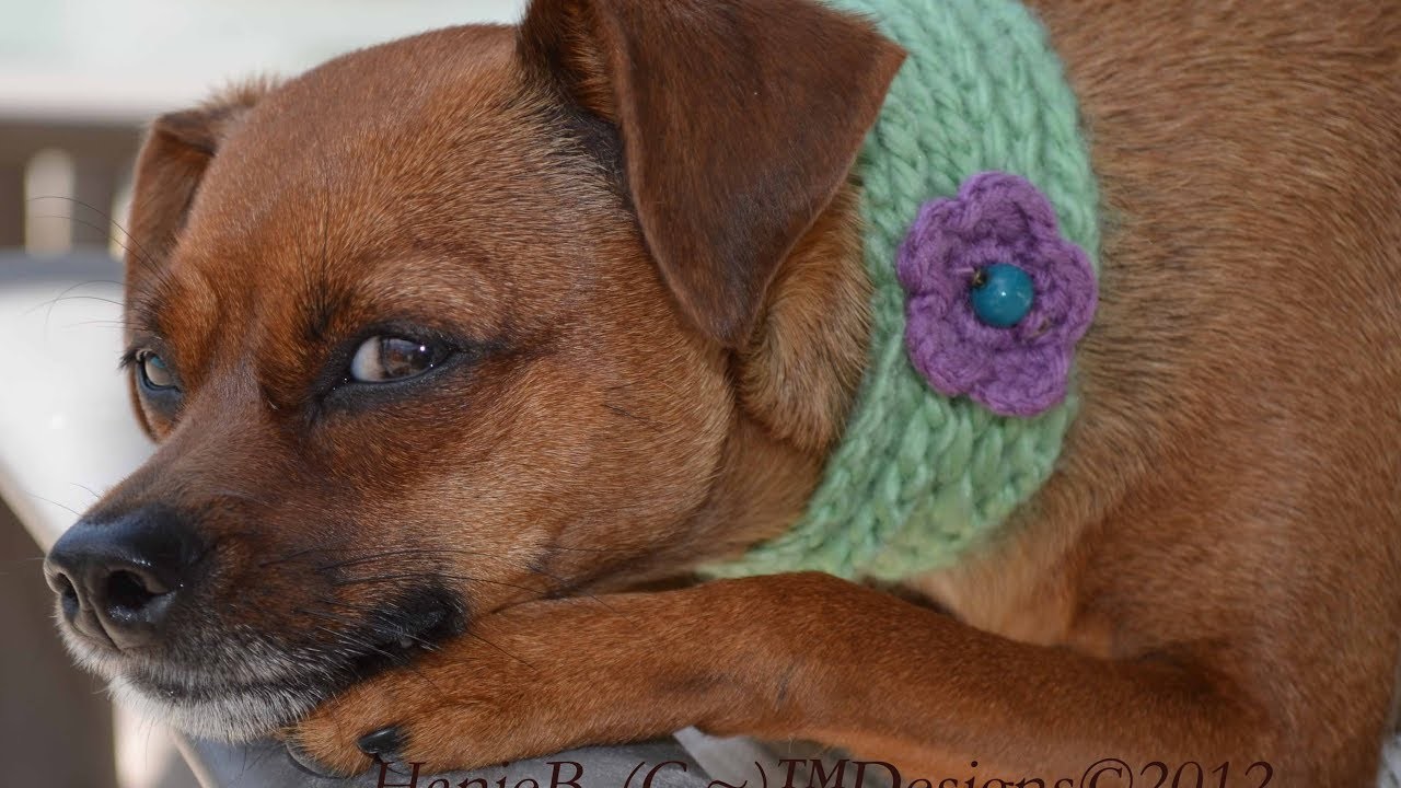 repeat crafter me puppy hat repeat crafter me puppy hat breeds picture repeat crafter me puppy hat repeat crafter me puppy hat breeds picture