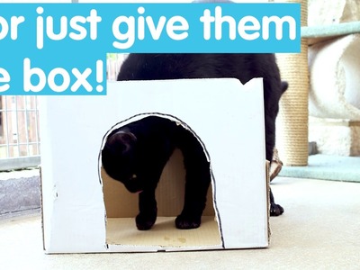 How to make a cardboard house for your cat
