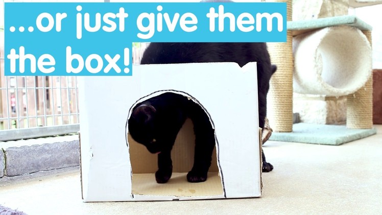 How to make a cardboard house for your cat