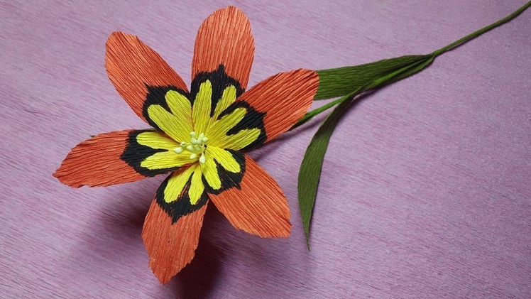 How to Make Wandflower Paper flowers - Flower Making of Crepe Paper - Paper Flower Tutorial
