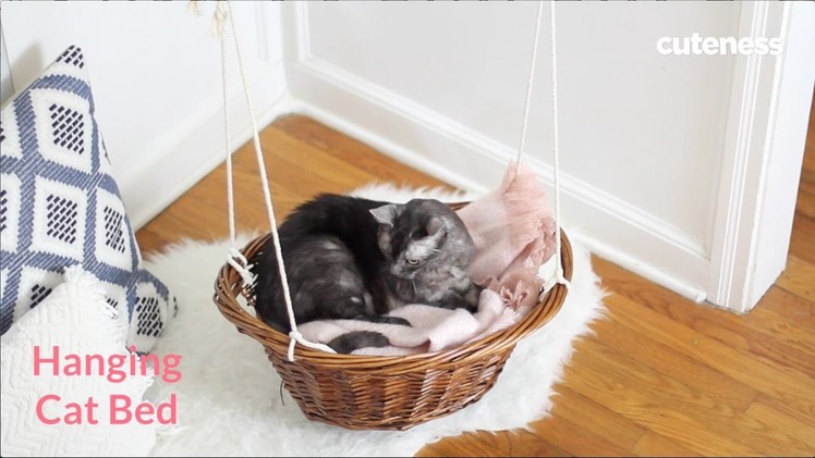 How To Turn A Laundry Basket Into A Hanging Cat Bed