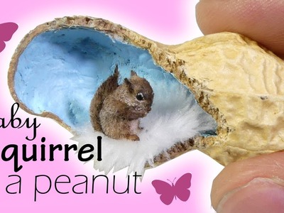 Mini Squirrel In A Peanut Tutorial. DIY Miniature Pet