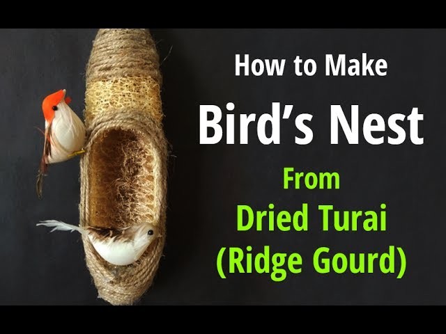 How to Make a Birds Nest Using Ridge Gourd | Bird Hanging Room Décor | Bird Nest Making